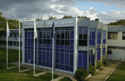 83 – UFLA – MG 83 - UFLA - MG