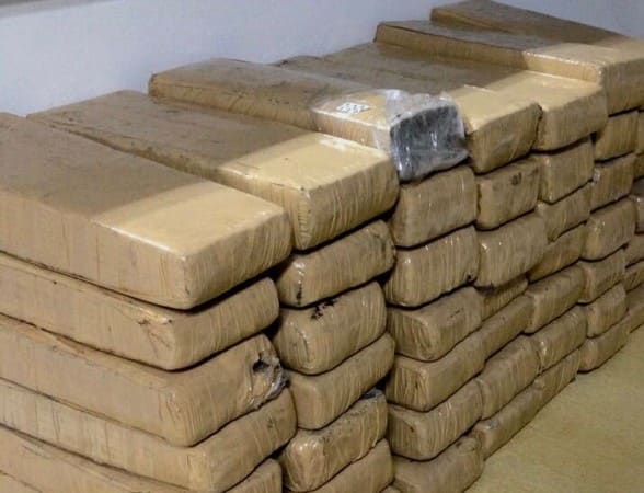 Justiça condena organização criminosa que traficava drogas entre MS e SC