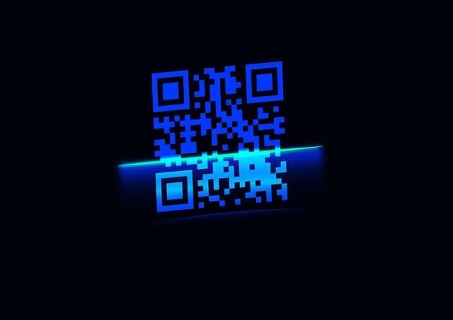 , carteirinhas de pescador , pescador amador ou esportivo, QR Code dinâmico, ,MAPA, tecnologia, Tecnologia na fiscalização qr-code-g767d78d0c_640 , carteirinhas de pescador , pescador amador ou esportivo, QR Code dinâmico, ,MAPA, tecnologia, Tecnologia na fiscalização