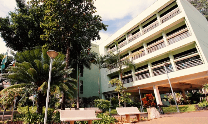 USP anuncia Concurso Público na área de Ciência da Computação