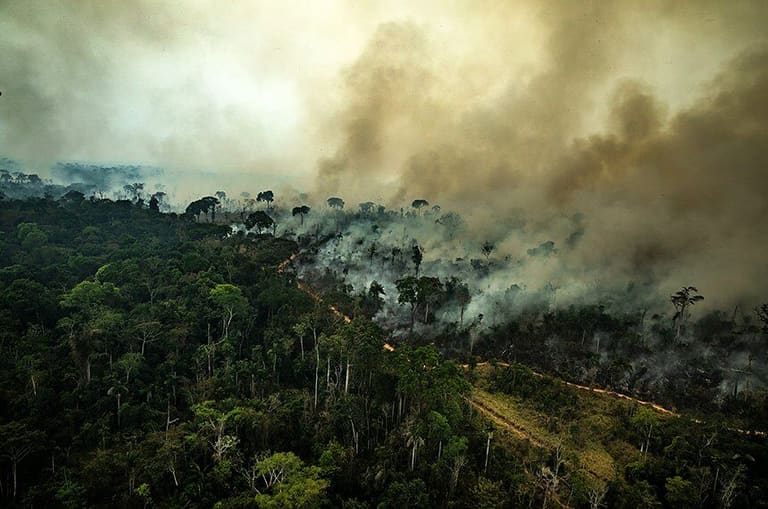 Fundo Amazônia