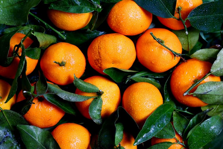 Como escolher laranja doce no mercado - Reprodução Canva