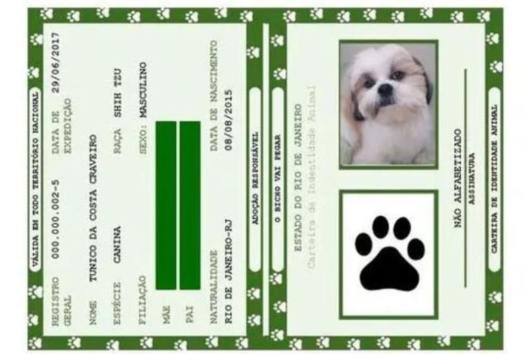 BOM pra CACHORRO! Agora animais PODEM ter documento de identidade