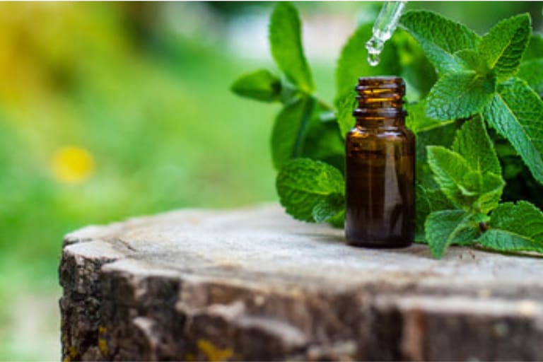 O que é homeopatia? Como funciona?
