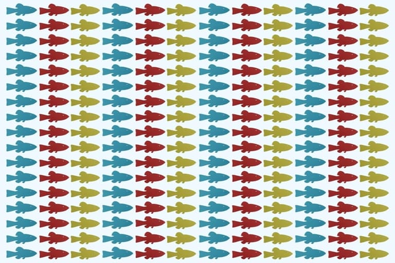 Peixes coloridos em azul, vermelho e verde-oliva organizados em linhas horizontais, com um nadando na direção oposta
