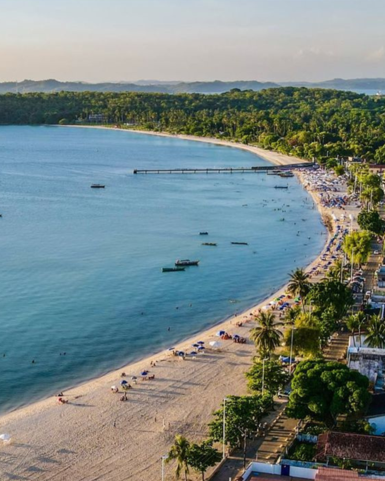 Caribe baiano: essa praia deslumbrante é pouco conhecida pelos turistas 3 Vista aérea de uma praia com mar calmo, faixa de areia clara e vegetação exuberante