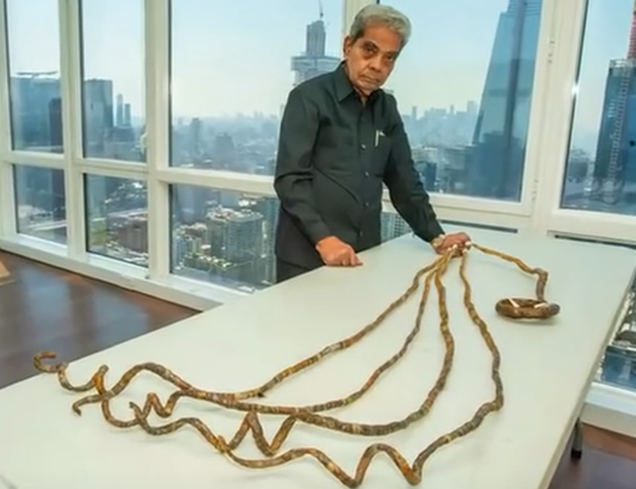 Guinness Book: O homem que ficou mais de 60 anos sem cortar as unhas (Imagens fortes) 2 Shridhar Chillal apoiando suas longas unhas retorcidas sobre uma mesa em frente a janela com vista de cidade