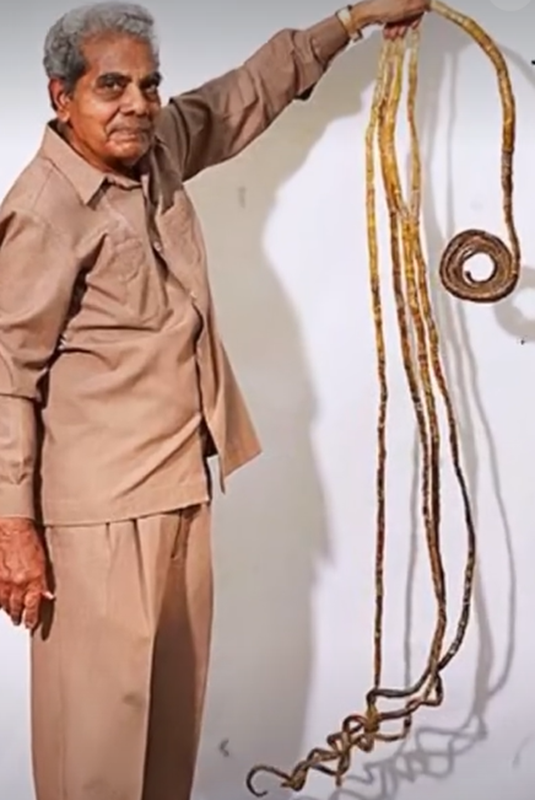 Guinness Book: O homem que ficou mais de 60 anos sem cortar as unhas (Imagens fortes) 3 Shridhar Chillal em pé levantando a mão esquerda com unhas longas e retorcidas que ultrapassam sua altura
