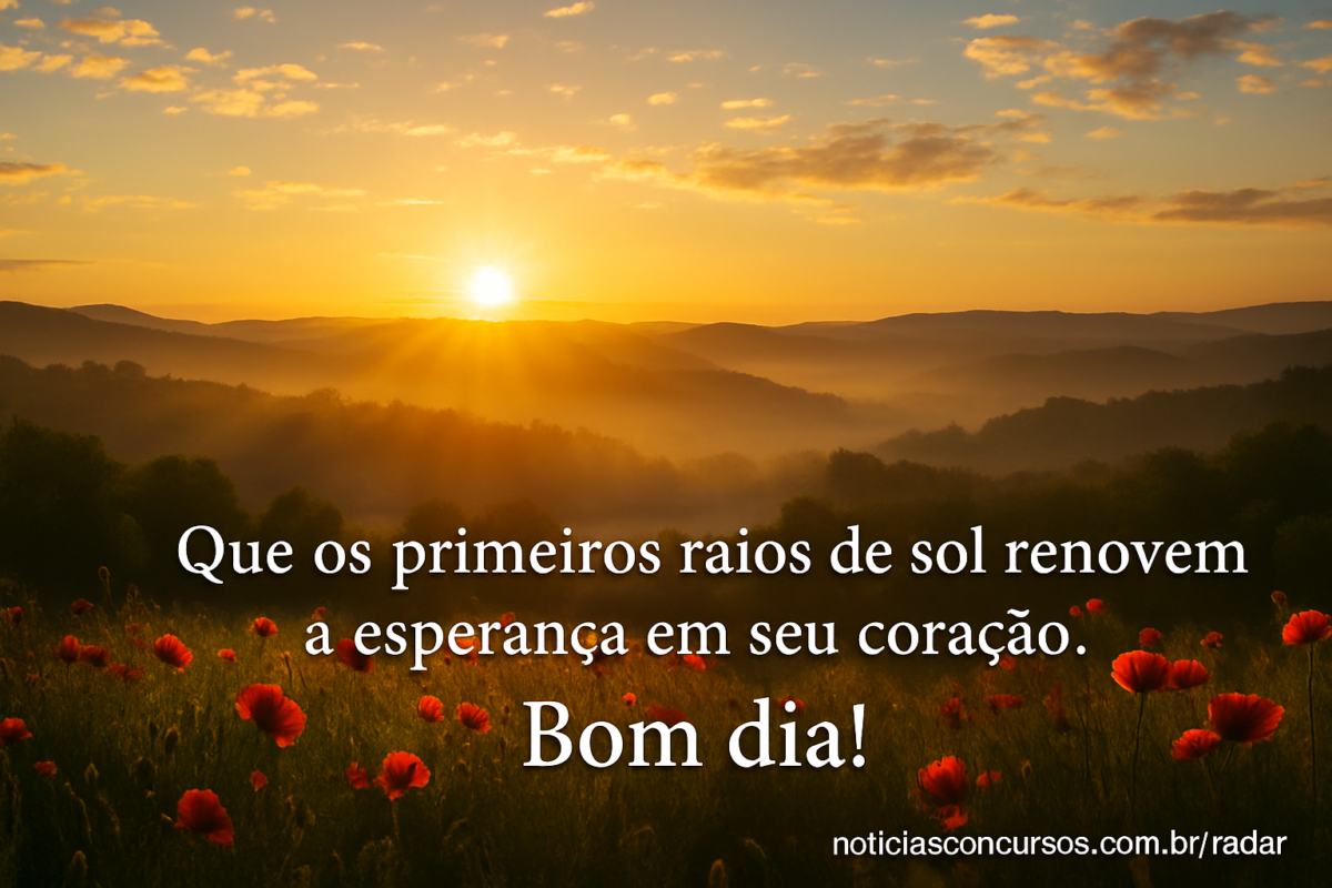 10 lindas mensagens de 'Bom Dia' + fotos para enviar no grupo da família hoje (04/02) 4 Sol nascente ilumina campo de flores vermelhas com mensagem de bom dia sobreposta