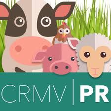 concurso crmv pr 2015