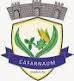 Prefeitura de Cafarnaum BA 2016