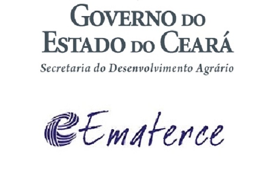 Resultado de imagem para Uma imagem da EMATER(CE)