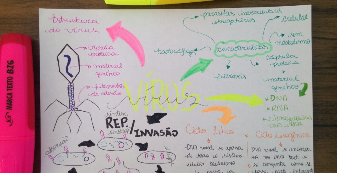métodos para anotações de estudo