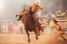 Como se tornar um ATLETA profissional de RODEIO? 