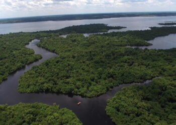 bacia amazônica