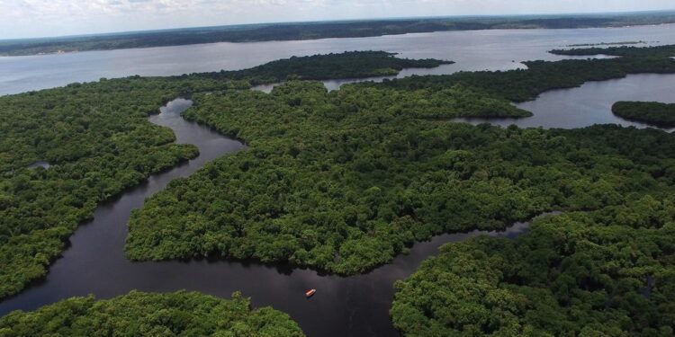 bacia amazônica