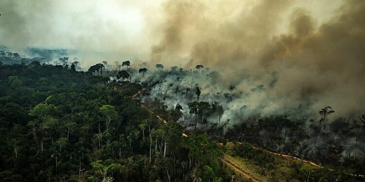 Fundo Amazônia