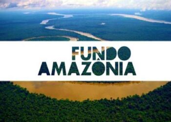 FundoAmazonia