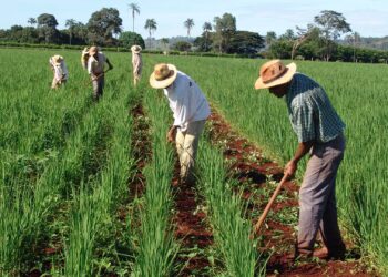 agricultura2