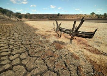 indústria da seca enem