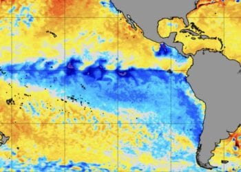 la niña estudar enem