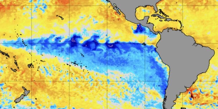 la niña estudar enem