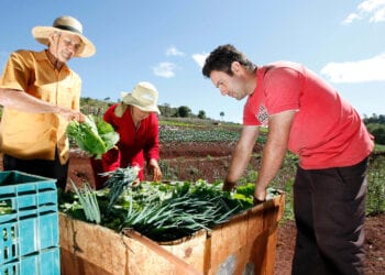 Agricultura familiar