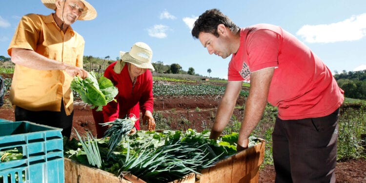 Agricultura familiar