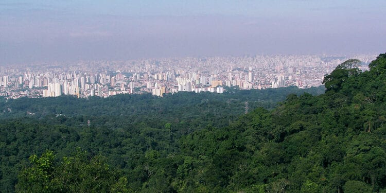 Área verde SP