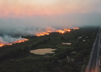 auxilio-incendio-floresta-pantanal