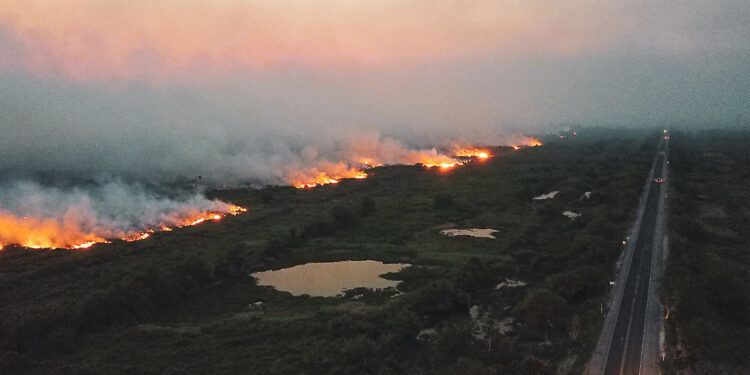 auxilio-incendio-floresta-pantanal