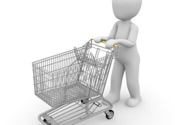 A Imagem do Negócio No Empreendedorismo-shopping-cart-1026501-640