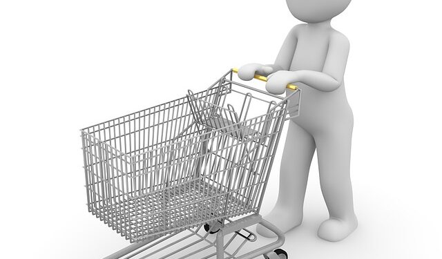 A Imagem do Negócio No Empreendedorismo-shopping-cart-1026501-640