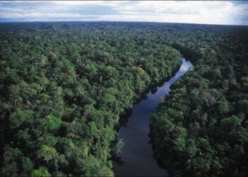 Florestas Tropicais - Floresta Amazônica vestibulares