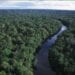 Florestas Tropicais - Floresta Amazônica vestibulares