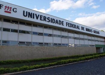 ufmg vagas estágio