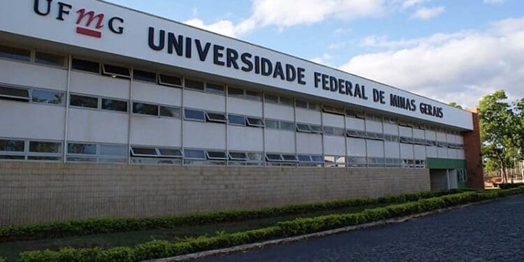 ufmg vagas estágio