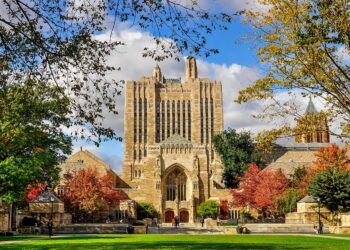 yale mentoria estudantes brasileiros