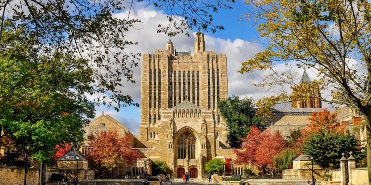 yale mentoria estudantes brasileiros