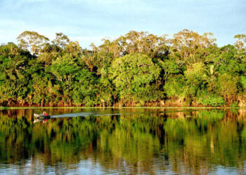 Bioma Amazônia