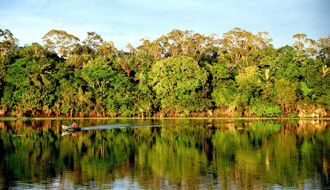 Bioma Amazônia