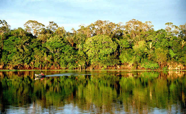 Bioma Amazônia