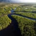 biomas brasileiros - Amazonia