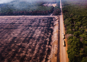 desmatamento na Amazônia