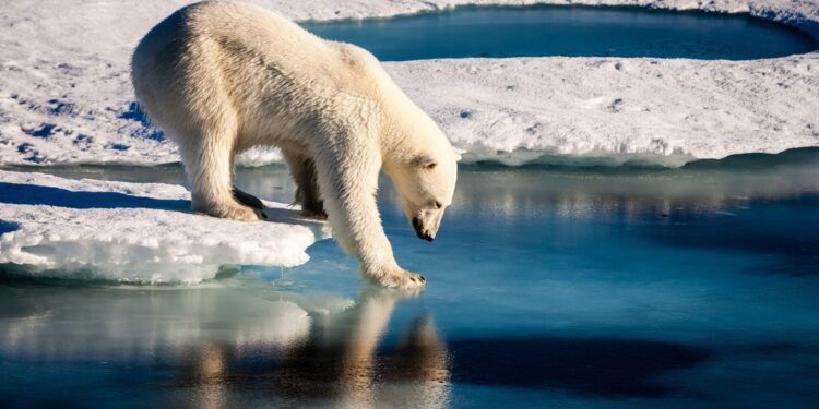 sensibilidade climática