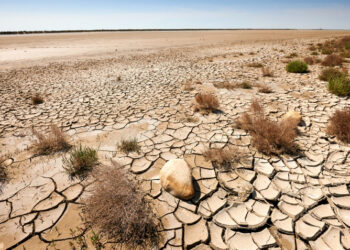 Desertificação