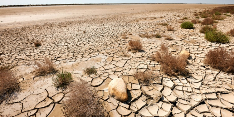 Desertificação