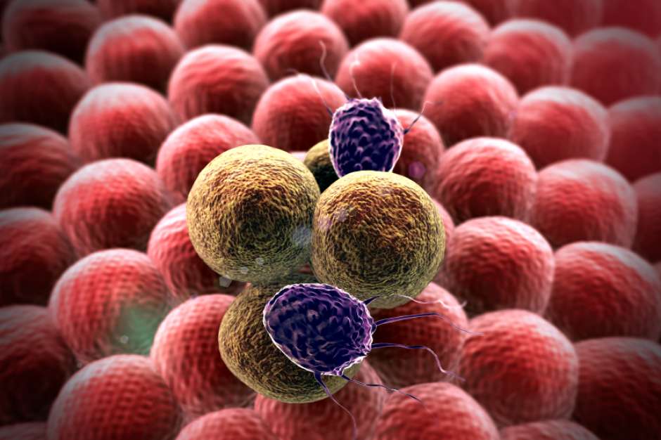 células cancerígenas e células normais