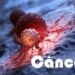 câncer células cancerígenas