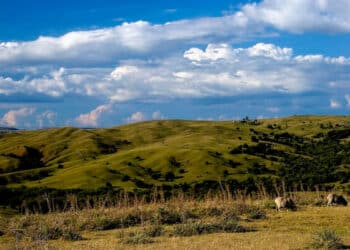 Formação campestre